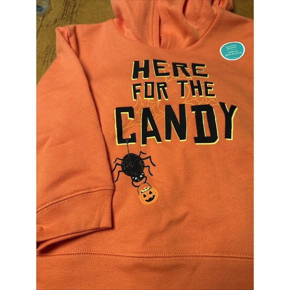 Carter's Other - Carter's‎ Baby Boy Pumpkin Outfit Size 4T. NWT! 2 Pieces Set, Casual, Halloween
